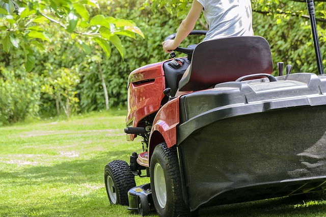 lawn